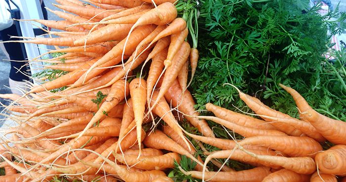 Carrots - web.jpg