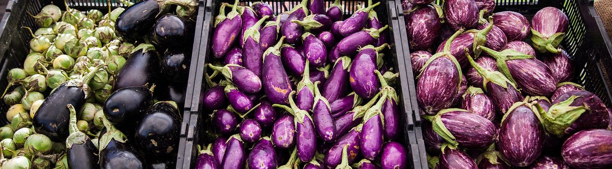 eggplants_1800px.jpg