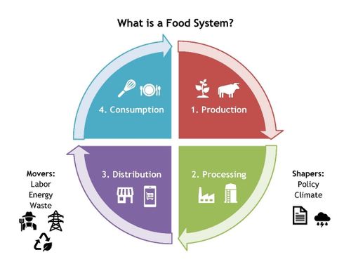 food system chart 
